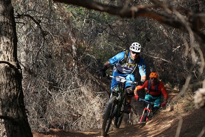 Private Mountain Bike,Trail Ride Tour of Mount Ymittos, Athens. - Why experienced riders may want a guide