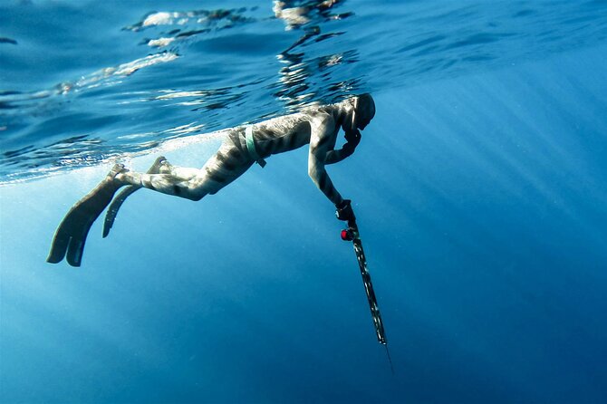 Private Spearfishing Trip From Athens - From Athens hotel to coastal port