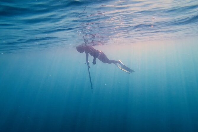 Private Spearfishing Trip From Athens - Returning to Athens with your day intact