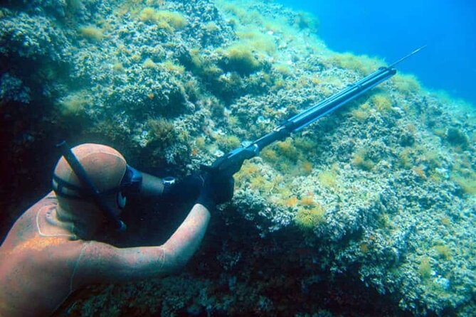 Private Spearfishing Trip From Athens - Health questions and safety instructions first