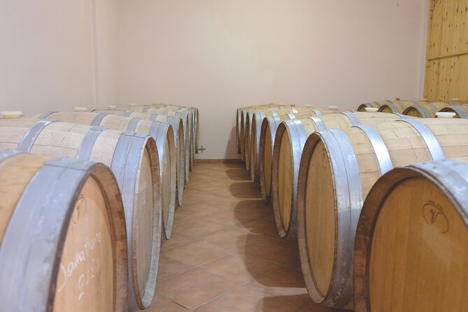Private Tour and Tasting at Zeginis Winery - Back at the winery, the cellar explains the process