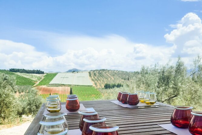 Private tour in Nafplio with Olive oil Tasting Tour in Corinth - What the $529.81 price really buys