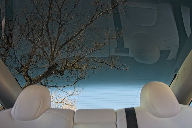 Private Transfer from Athens Airport to Athens City with Tesla - How this compares with arranging a ride yourself