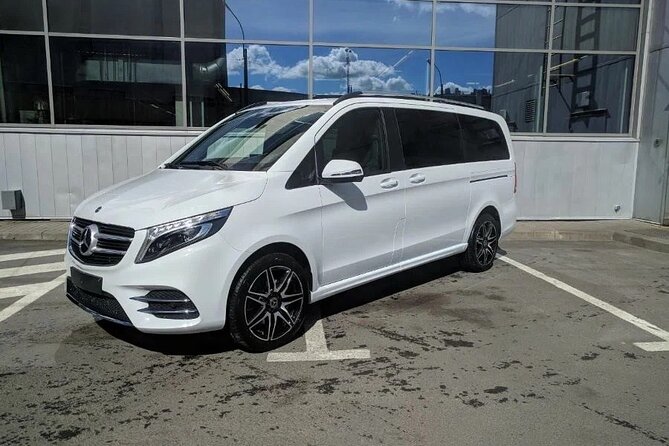 Private Transfer from Piraeus (Athens) Cruise Port to Athens - What the driver service includes