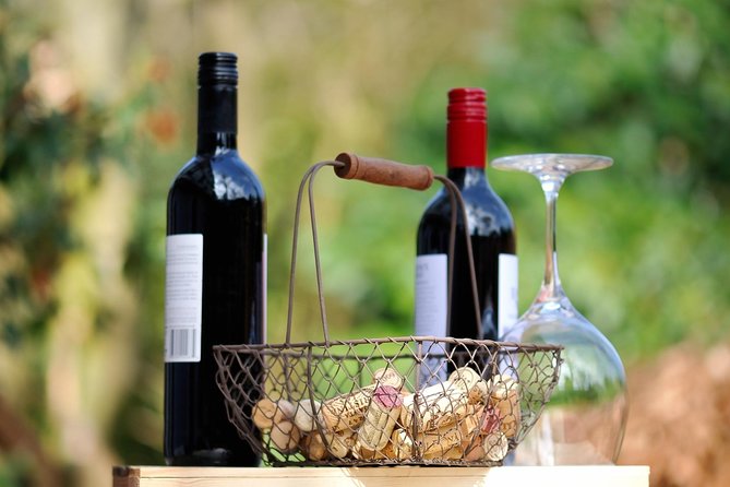 Private Wine Tasting Experience of Greek Awarded Wines at Athens Wine Suburb - What the private format changes