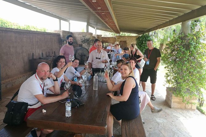 Private Wine Tasting Experience of Greek Awarded Wines at Athens Wine Suburb - Food, pacing, and what to expect at the table