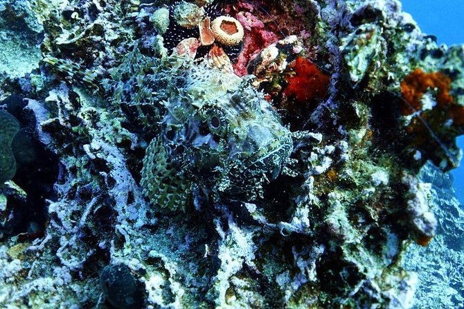Snorkeling Fun Adventure in Athenian Riviera - What the three-hour schedule really gives you