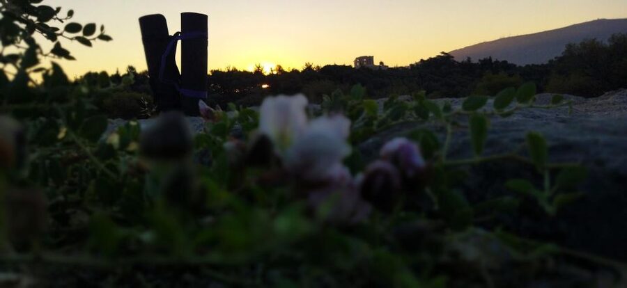 Sunrise Yoga & Meditation Acropolis & 360 view - Getting to the meeting point without stress
