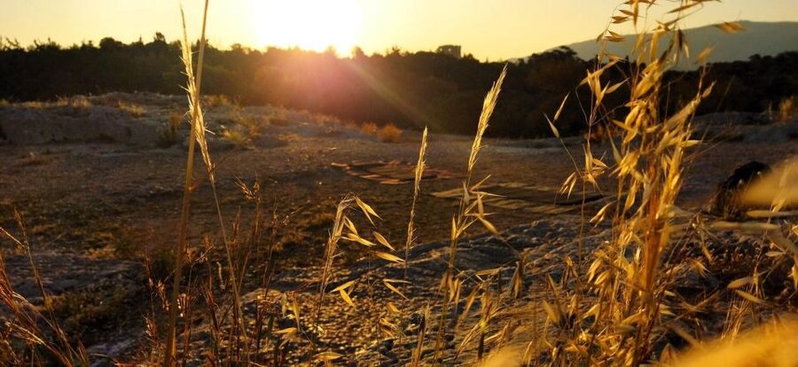 Sunrise Yoga & Meditation Acropolis & 360 view - Sunrise or sunset: choosing the better time