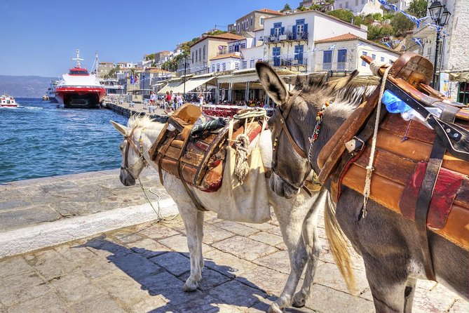 VIP Day Cruise from Athens to Hydra, Poros and Aegina - Aegina, pistachios, temples, and choice