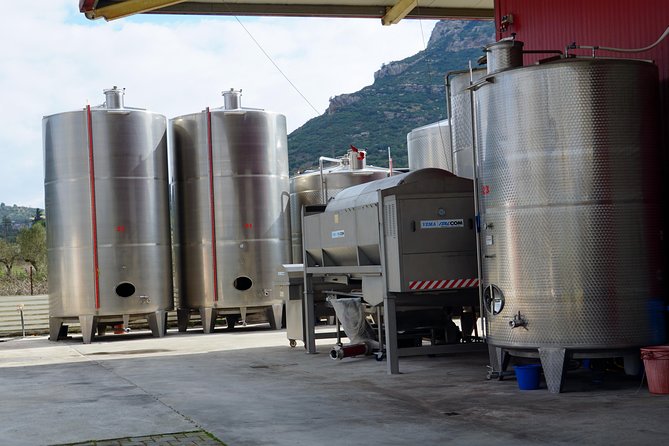 Wine Roads Private Day Tour: Corinth - Ancient Nemea & Wine Tasting - Nemea wine country and Ktima Bairaktaris