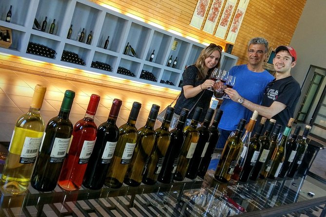 Wine Trails Private Tour/ Nemea visit 3 wineries from Athens or Nafplion (10 h) - Argos and the route back